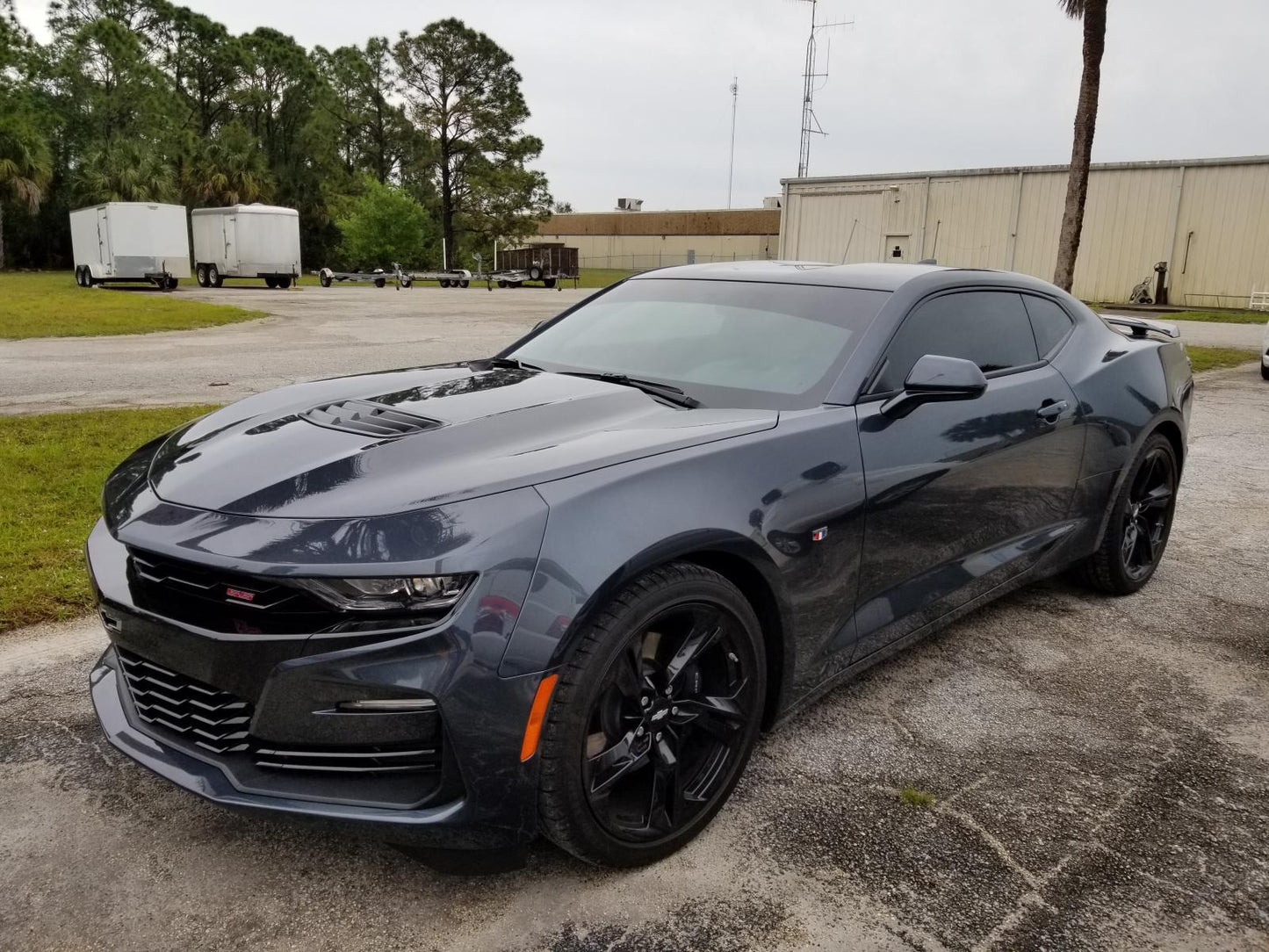 Windshield Visor Strip- Pre-cut Tint