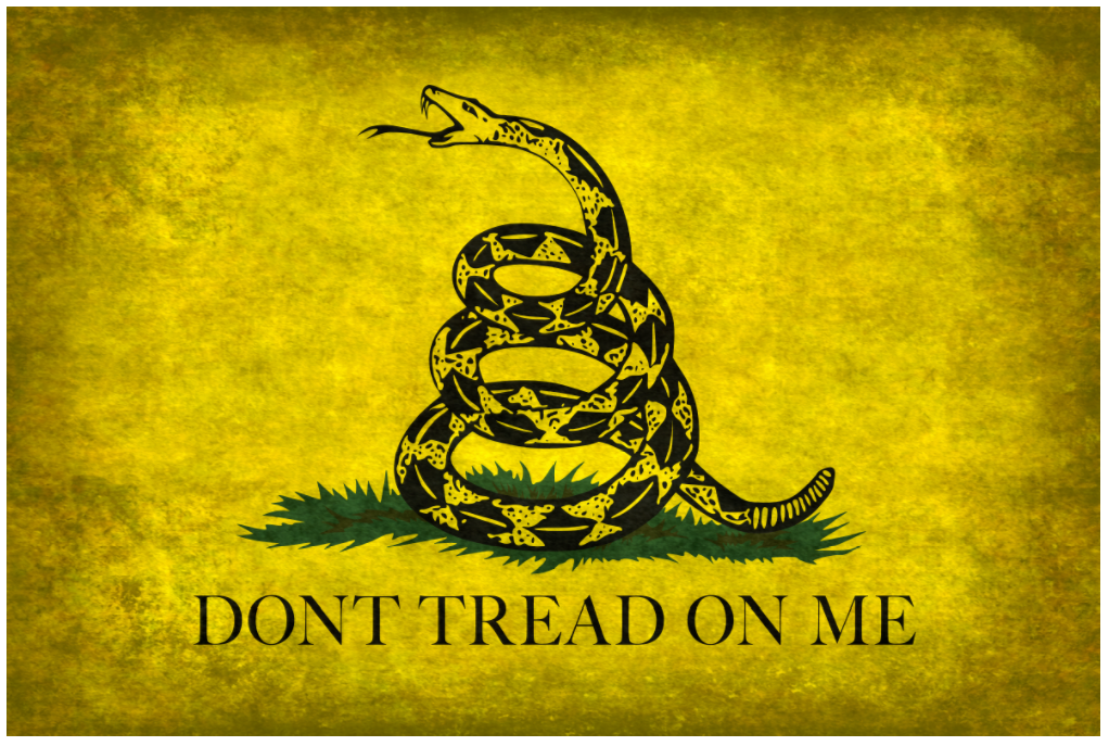 Don't Tread On Me Flag